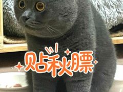 -越洋肖氏老米线(杨家坪店)