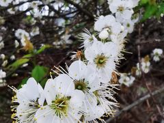 -广州市流溪河国家森林公园