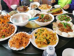 -东方巨龟苑景区