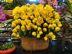 -双季花艺园艺市场(浦东店)