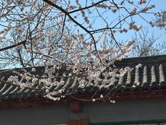 -碑林公园