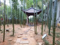 -绳金塔