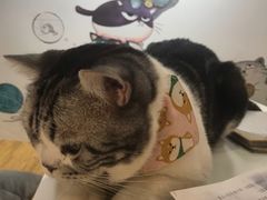 -小时光咖啡馆(开森度假森林店)