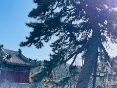 -潭柘寺景区