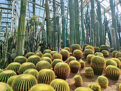 -南山植物园