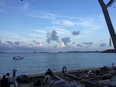 -Coco Tam’s