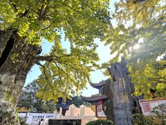 -圆通寺