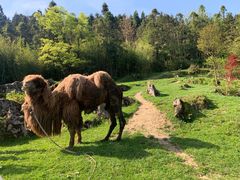 -武陵山森林公园