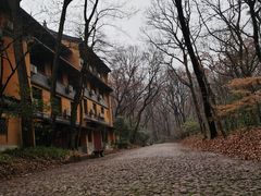 -灵谷景区