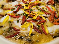 老坛酸菜鲈鱼-江渔儿酸菜鱼(映月湖环宇城店)