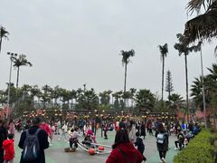 -枫香湖儿童公园