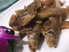 -金米箩大酒店(五角场店)