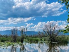 -野鸭湖国家湿地公园