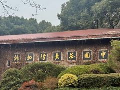 -中国茶叶博物馆(双峰馆区)