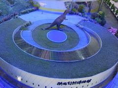 -陕西自然博物馆