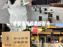 -圆通寺