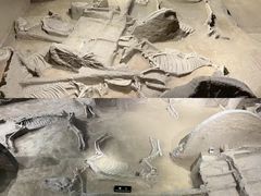 -洛阳周王城天子驾六博物馆