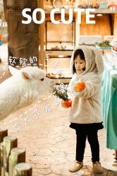 点击看大图 -宝燕乐园(闵行旗舰店)