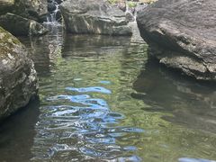 -石台牯牛降景区