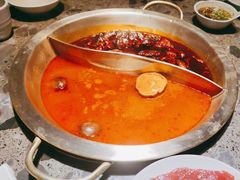 -小龙坎火锅(总店)