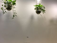 -ICEPOPO MILK(玉兰店)