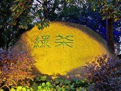 -绿茶餐厅(龙井船宴· 品牌总店)