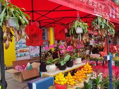 -越秀西湖花市(广州城市广场花卉店)