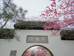 -杭州植物园