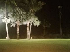 -宴悦海鲜餐厅·游水海鲜·牛排(亚龙湾瑞吉店)