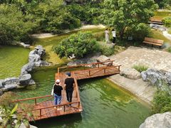 -上海吴淞炮台湾国家湿地公园