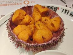 海胆-常鲜楼常来尝鲜海胆馆(星海店)