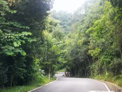 -广州白江湖森林公园