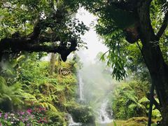 -Chom Cafe and Restaurant