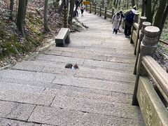 -普陀山风景名胜区-法雨禅寺
