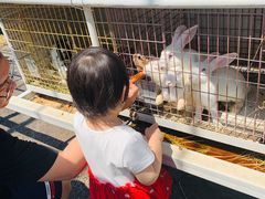 -大连铭湖国际观光牧场