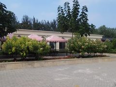 -百年义利(北兴路店)