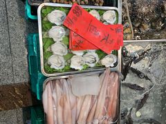 -湛江渔港·大排档(乐园路总店)