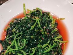 -高老庄新家宴(北斗星广场店)