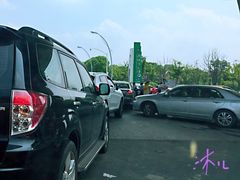 -荷塘月色湿地公园·向阳花洲