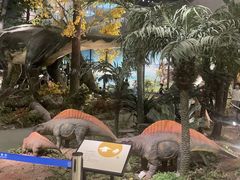 -湖南省地质博物馆