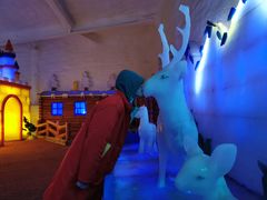 -白鹿仓冰雪海洋世界
