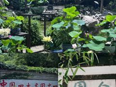 -打酱油·非遗淮扬菜(瘦西湖梅岭店)