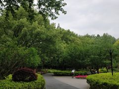 -徐家汇源景区-衡山公园