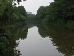 -新江湾城公园
