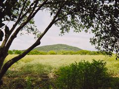 -苏州太湖西山岛开心农场
