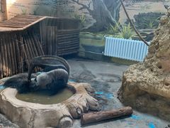 -济南野生动物世界