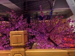 -巢爷老味(东方红店)