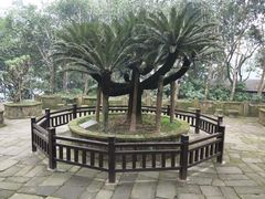-重庆抗战遗址博物馆