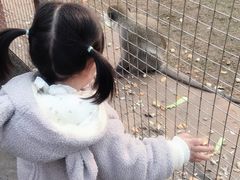 -南昌动物园