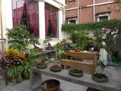 -鼓浪屿牌馅饼(博物馆店)